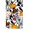 Пленка Форвард (FR-0135) для задней поверхности c рис Looney Tunes
