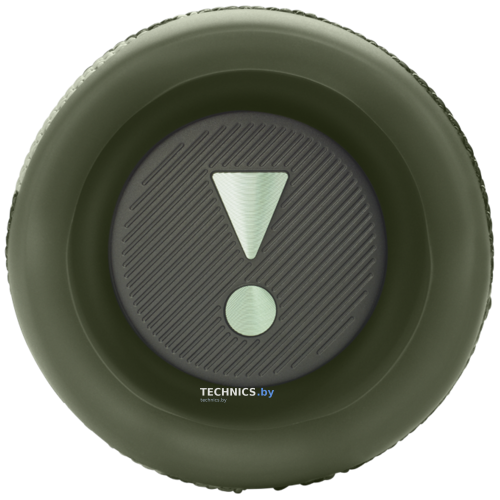 Портативная Bluetooth колонка JBL Flip 6 camo