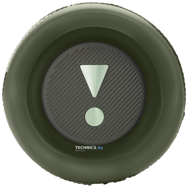 Портативная Bluetooth колонка JBL Flip 6 camo