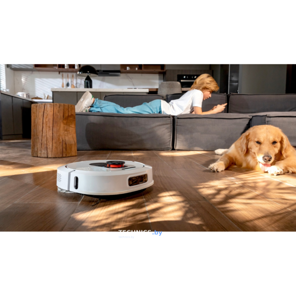 Робот-пылесос  Roidmi EVA Self-Cleaning and Emptying Robot Vacuum & Clean Base (SDJ06RM+JCZ06RM)