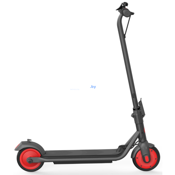 Электросамокат Ninebot KickScooter C20
