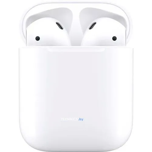 Наушники Apple AirPods 2 с зарядным футляром