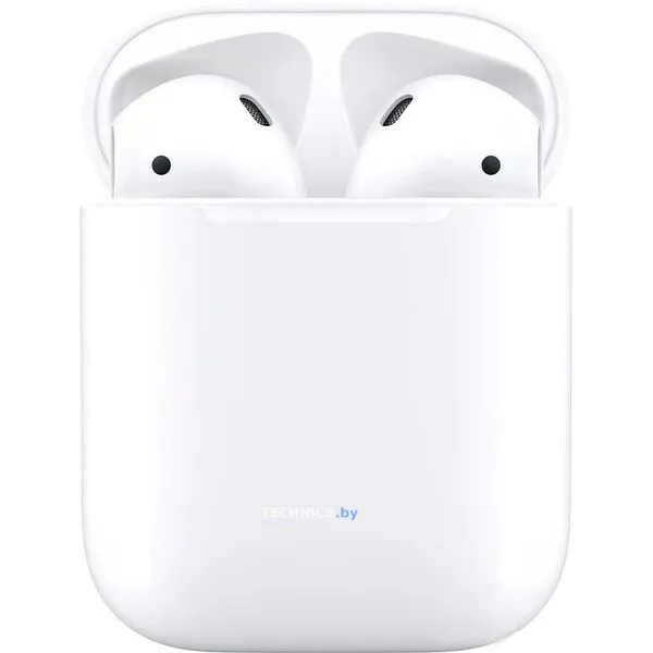 Наушники Apple AirPods 2 с зарядным футляром