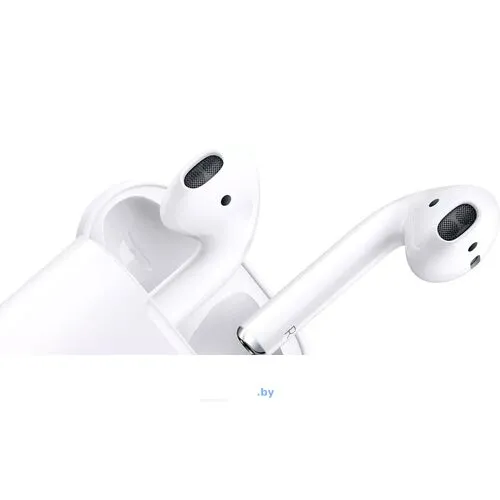 Наушники Apple AirPods 2 с зарядным футляром