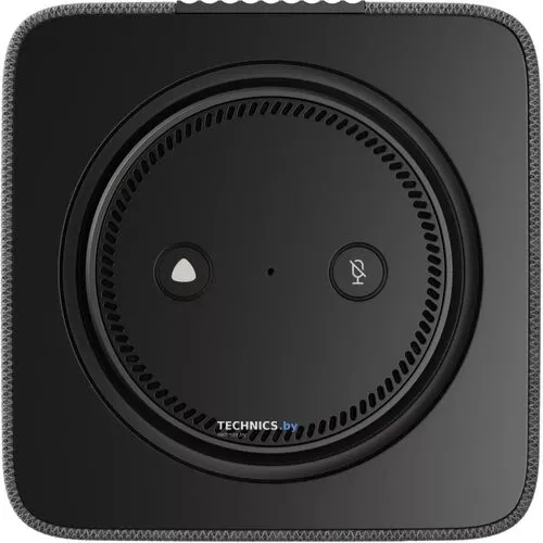 Умная колонка Яндекс Станция Макс (с хабом умного дома Zigbee, графит)
