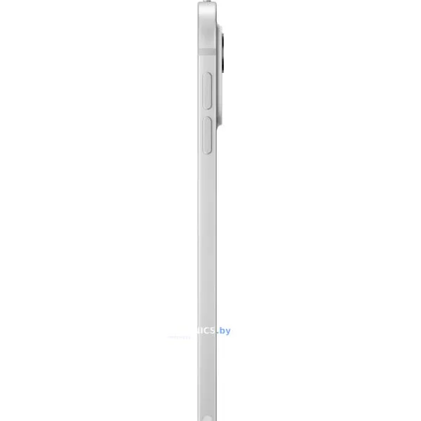 Планшет Apple iPad Pro 11" 2024 2TB (серебристый)