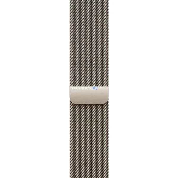 Умные часы Apple Watch Series 10 LTE 46 мм (титановый корпус, титановый/титановый, миланская петля)