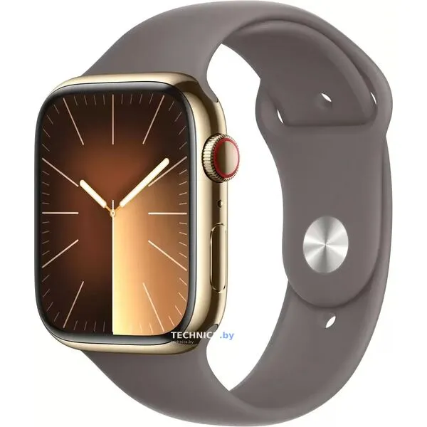 Умные часы Apple Watch Series 9 LTE 45 мм (корпус из нержавеющей стали, золотистый/темно-серый, спортивный силиконовый ремешок M/L)