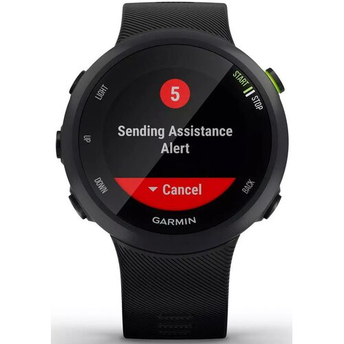 Умные часы Garmin Forerunner 45 Black
