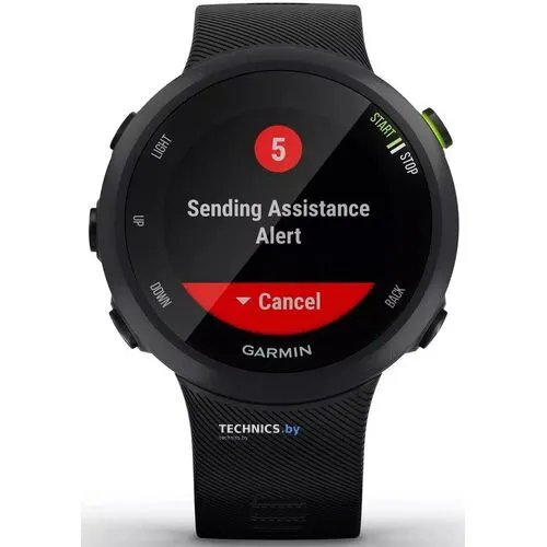 Умные часы Garmin Forerunner 45 Black