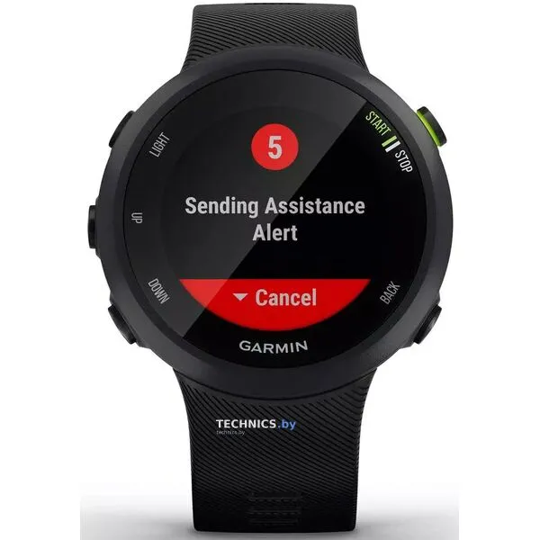 Умные часы Garmin Forerunner 45 Black