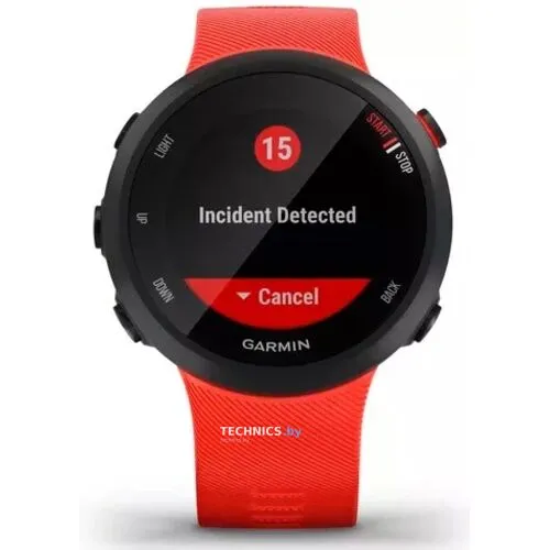 Умные часы Garmin Forerunner 45 (красный)