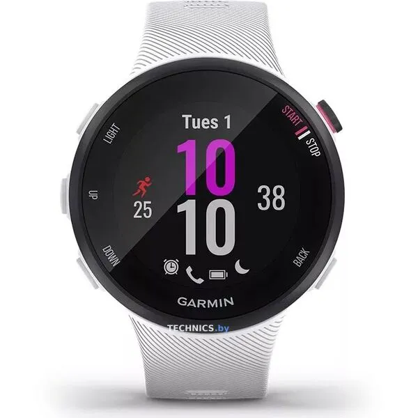 Умные часы Garmin Forerunner 45s (белый)