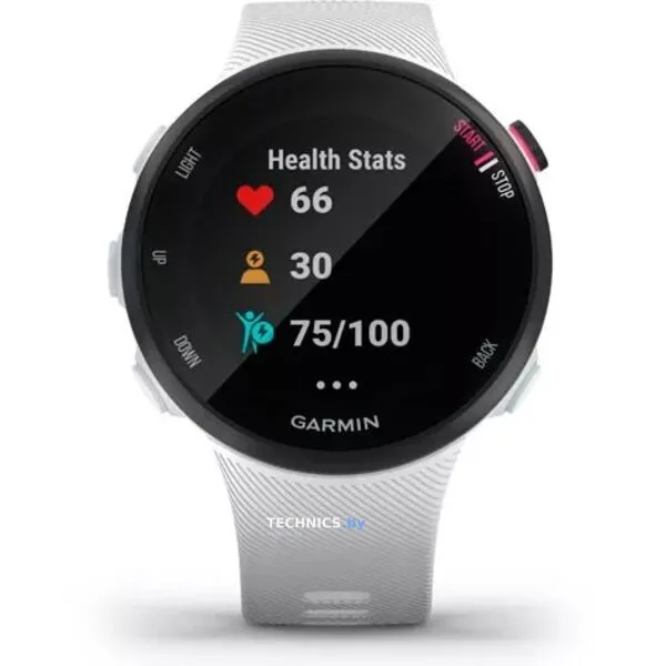Умные часы Garmin Forerunner 45s (белый)