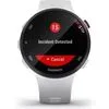 Умные часы Garmin Forerunner 45s (белый)
