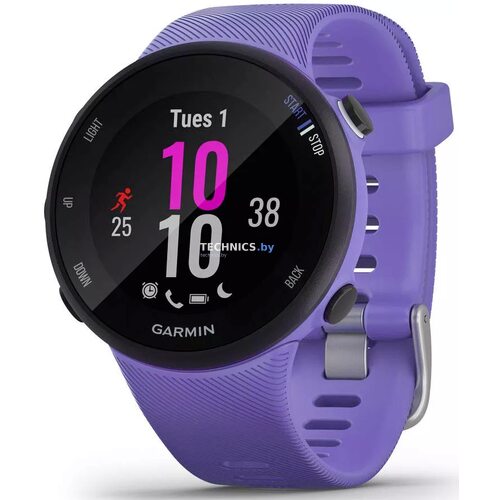 Умные часы Garmin Forerunner 45s (фиолетовый) (страница 6)