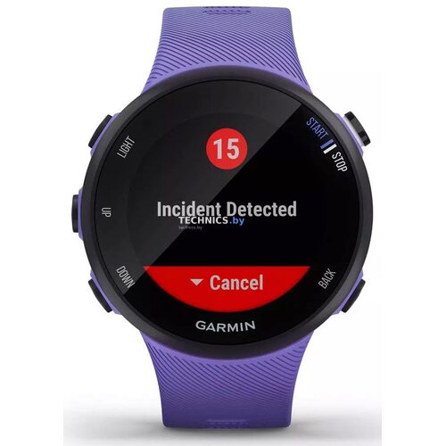 Умные часы Garmin Forerunner 45s (фиолетовый) (страница 6)