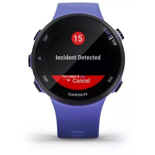 Умные часы Garmin Forerunner 45s (фиолетовый) (страница 6)