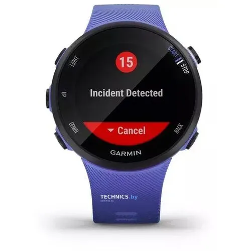Умные часы Garmin Forerunner 45s (фиолетовый)