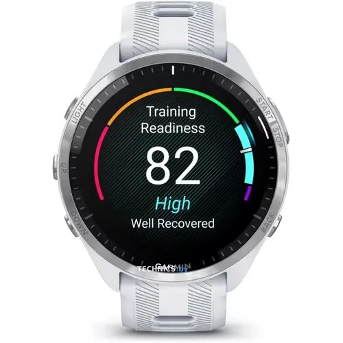 Умные часы Garmin Forerunner 965 (белый/серый)