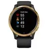 Умные часы Garmin Venu Gold/Black