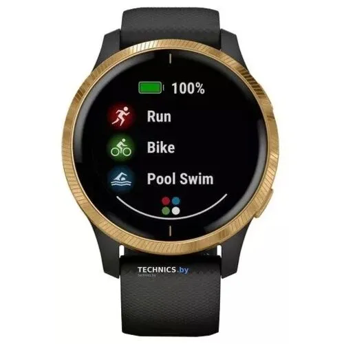 Умные часы Garmin Venu Gold/Black