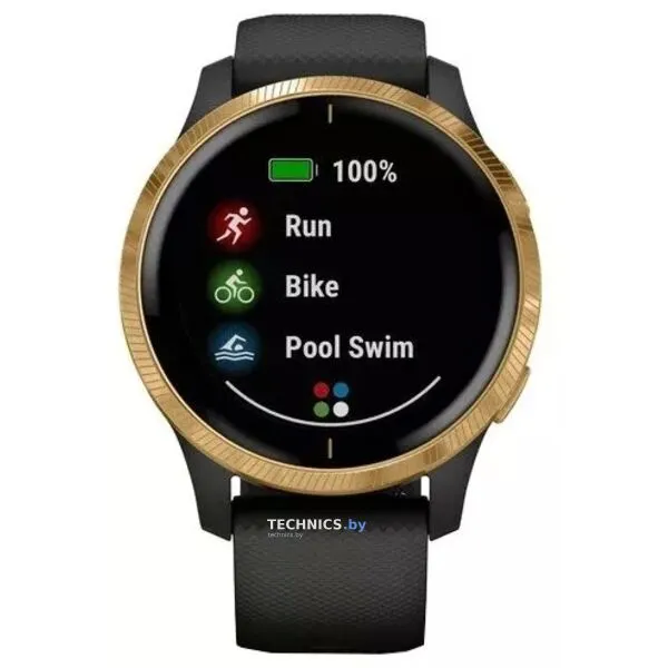 Умные часы Garmin Venu Gold/Black