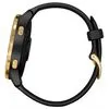 Умные часы Garmin Venu Gold/Black