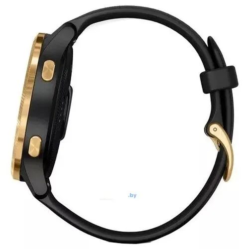 Умные часы Garmin Venu Gold/Black
