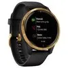 Умные часы Garmin Venu Gold/Black