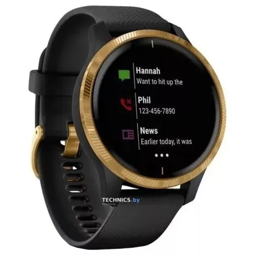 Умные часы Garmin Venu Gold/Black