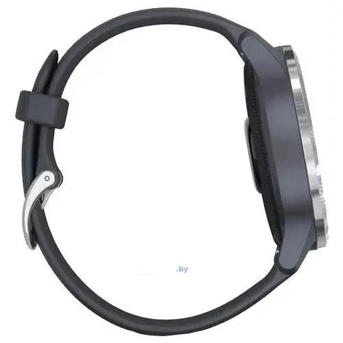 Умные часы Garmin Venu Silver/Blue