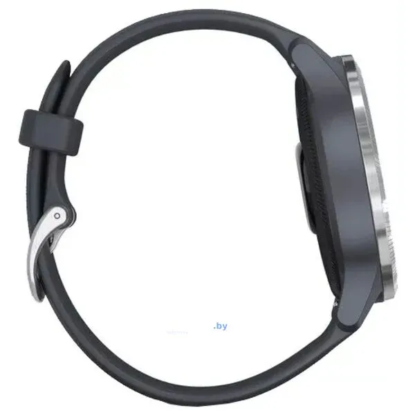 Умные часы Garmin Venu Silver/Blue