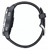 Умные часы Garmin Venu Silver/Blue