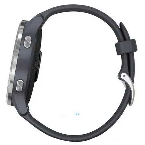 Умные часы Garmin Venu Silver/Blue