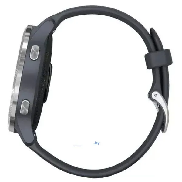 Умные часы Garmin Venu Silver/Blue