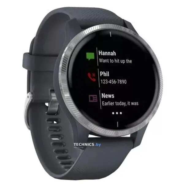 Умные часы Garmin Venu Silver/Blue