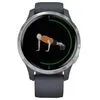 Умные часы Garmin Venu Silver/Blue