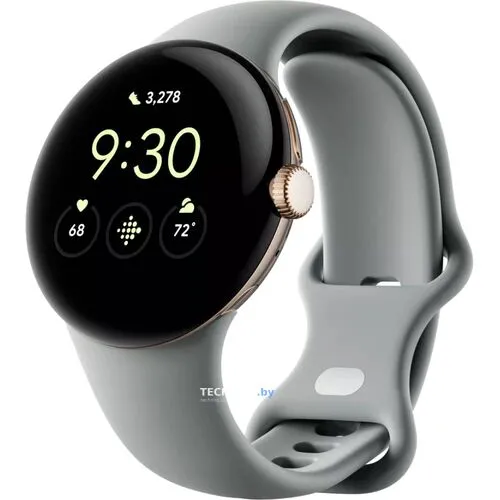 Умные часы Google Pixel Watch LTE (золотистый шампань/ореховый)