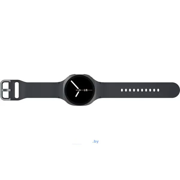 Умные часы Samsung Galaxy Watch8 40 мм LTE (графит)