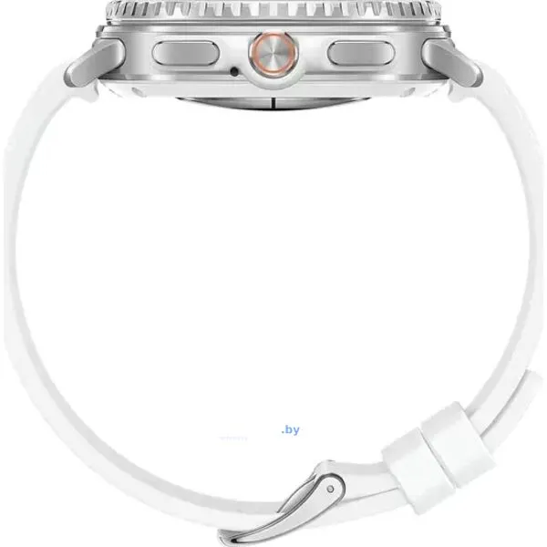 Умные часы Samsung Galaxy Watch8 Classic 46 мм LTE (серебристый)