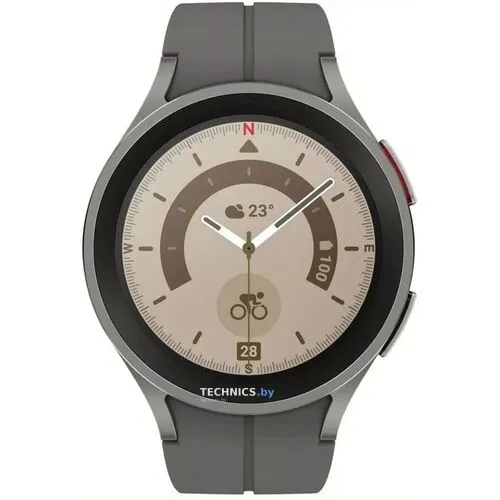 Умные часы Samsung Galaxy Watch 5 Pro 45 мм (серый титан)
