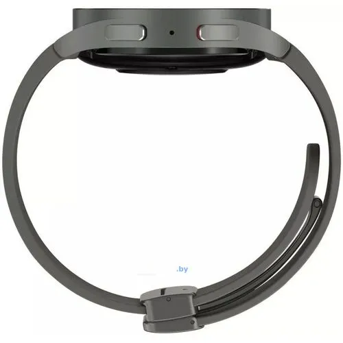 Умные часы Samsung Galaxy Watch 5 Pro 45 мм (серый титан)
