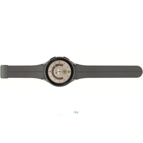 Умные часы Samsung Galaxy Watch 5 Pro 45 мм (серый титан)