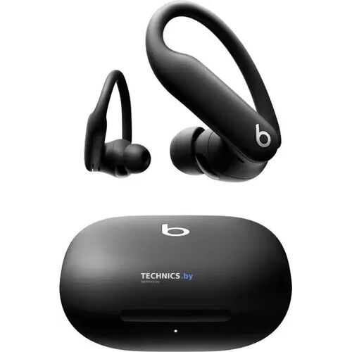 Наушники Beats Powerbeats Pro 2 (черный) Jet Black