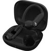 Наушники Beats Powerbeats Pro 2 (черный) Jet Black