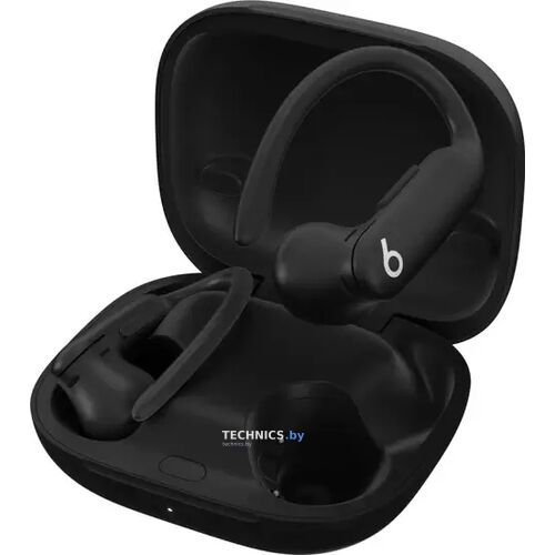 Наушники Beats Powerbeats Pro 2 (черный) Jet Black