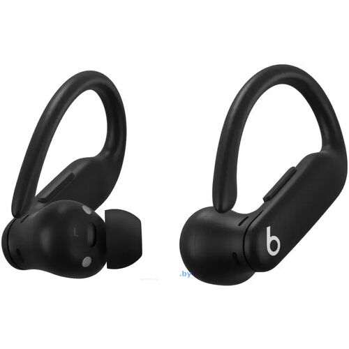 Наушники Beats Powerbeats Pro 2 (черный) Jet Black