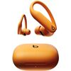 Наушники Beats Powerbeats Pro 2 (оранжевый) / Electric Orange