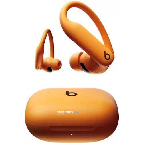 Наушники Beats Powerbeats Pro 2 (оранжевый) / Electric Orange